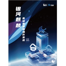 银河麒麟高级服务器操作系统V10（飞腾版或鲲鹏版）